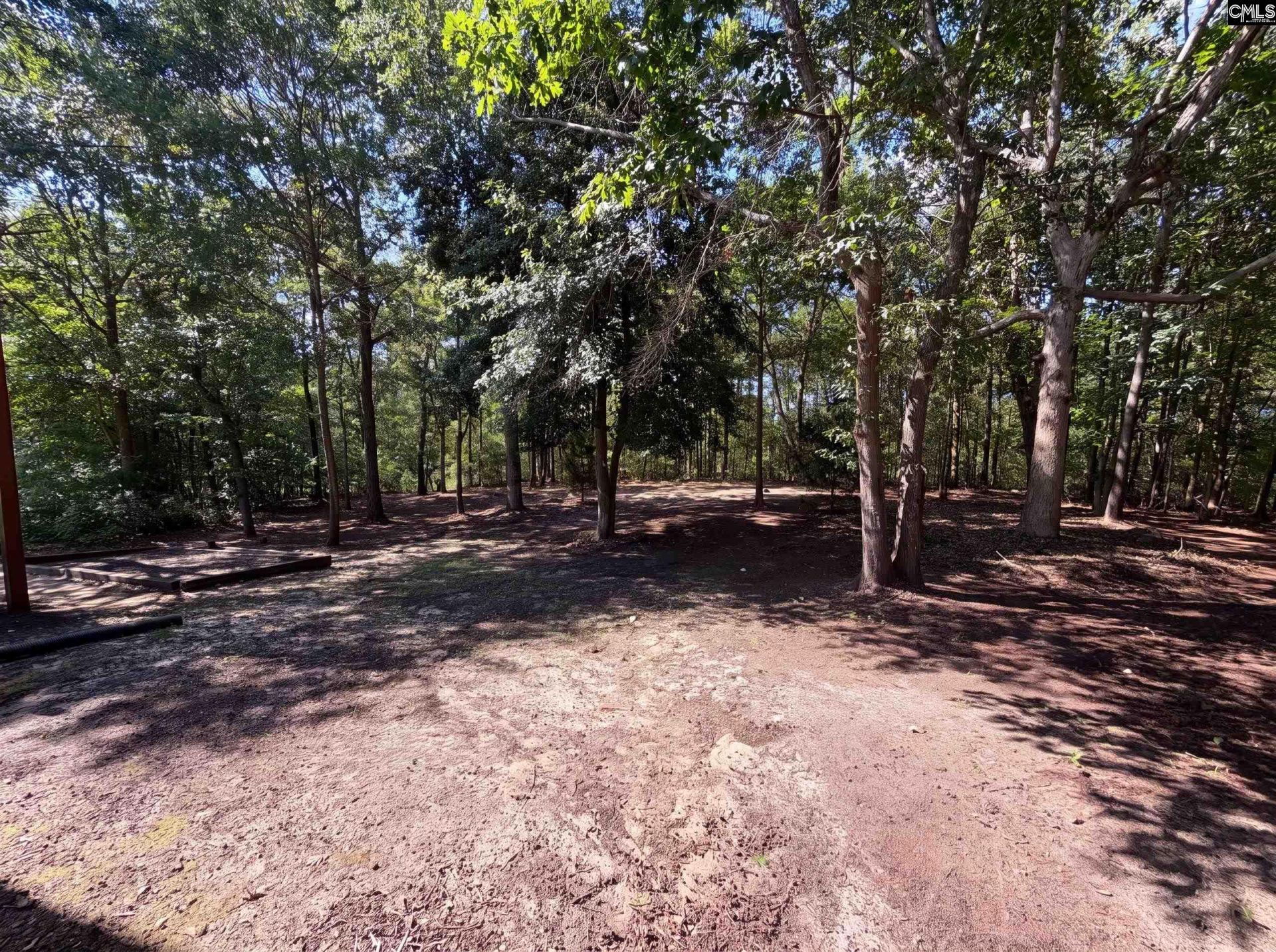 168 Hollow Tree Court Photo 17