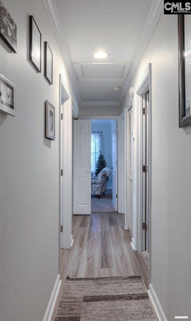 205 Cuttino Road  Photo 10