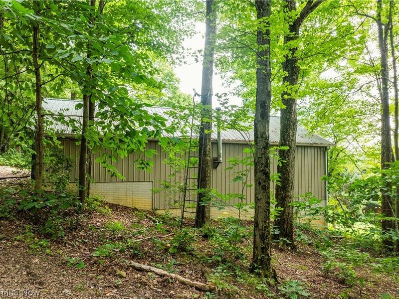 2639 Township Road 414, Dundee, OH 44624 Photo 11