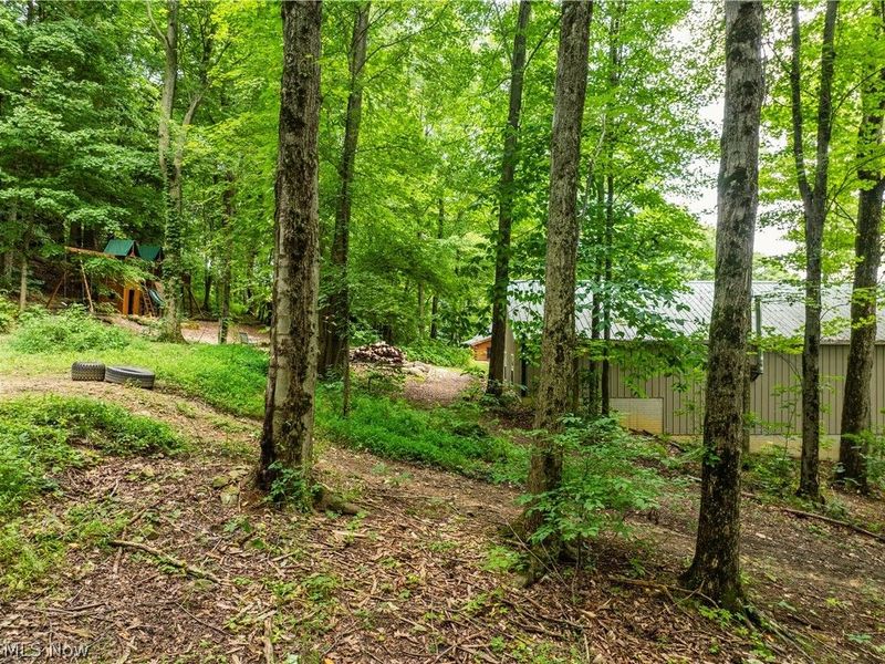 2639 Township Road 414, Dundee, OH 44624 Photo 14