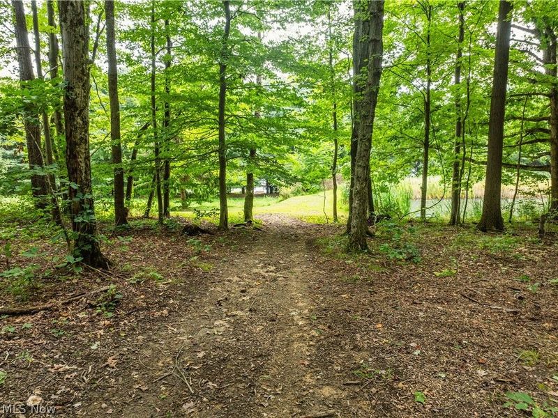 2639 Township Road 414, Dundee, OH 44624 Photo 15