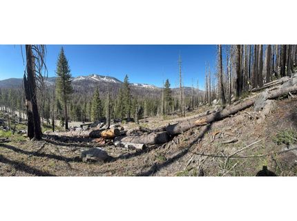 20149 Us Highway 50, South Lake Tahoe, CA 96150 Photo