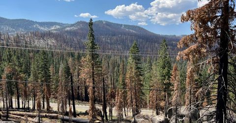 20149 Us Highway 50, South Lake Tahoe, CA 96150 Photo