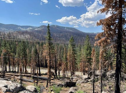 20149 Us Highway 50, South Lake Tahoe, CA 96150 Photo