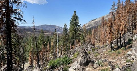 20149 Us Highway 50, South Lake Tahoe, CA 96150 Photo