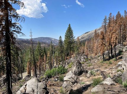 20149 Us Highway 50, South Lake Tahoe, CA 96150 Photo