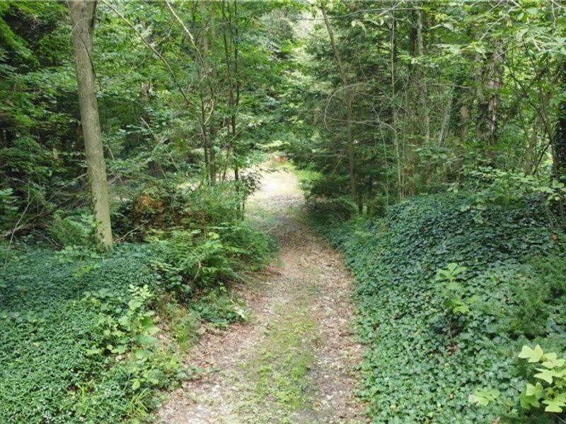 7130 Leroy Thompson Road , Thompson, OH 44086 Photo 26