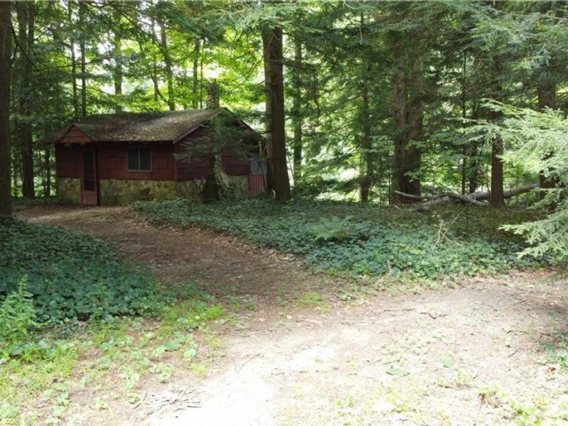 7130 Leroy Thompson Road , Thompson, OH 44086 Photo 28