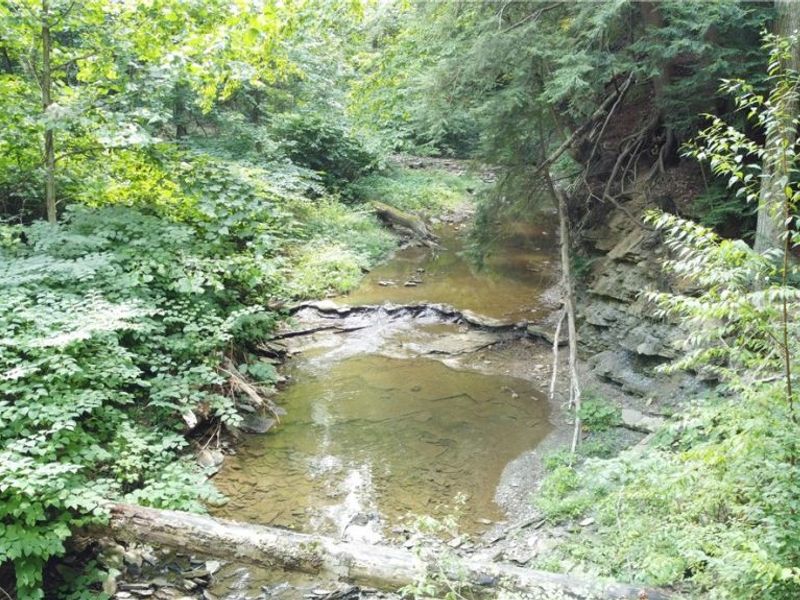 7130 Leroy Thompson Road , Thompson, OH 44086 Photo 33