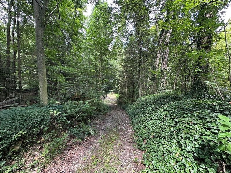 7130 Leroy Thompson Road , Thompson, OH 44086 Photo 36