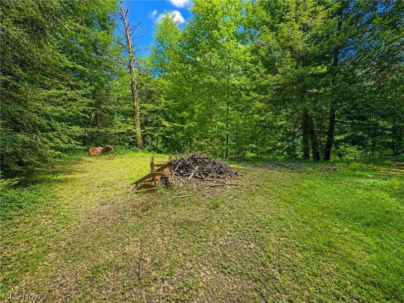 7130 Leroy Thompson Road , Thompson, OH 44086 Photo 46