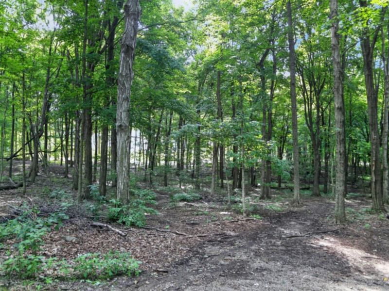 17338 Fredericktown Amity Road , Fredericktown, OH 43019 Photo 48