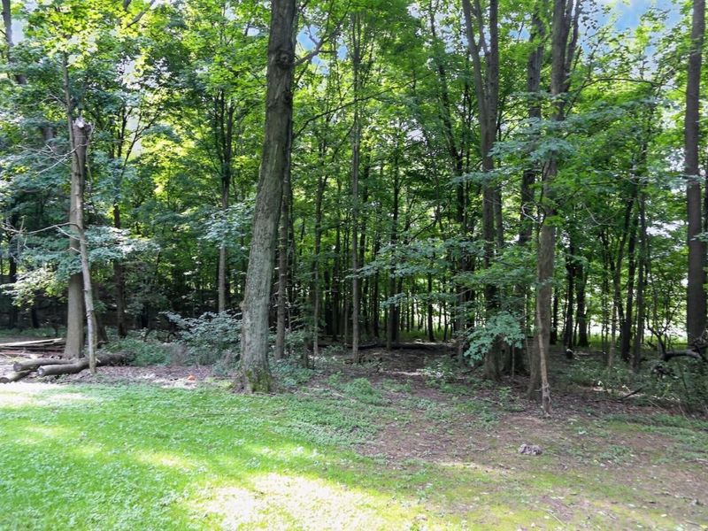 17338 Fredericktown Amity Road , Fredericktown, OH 43019 Photo 49