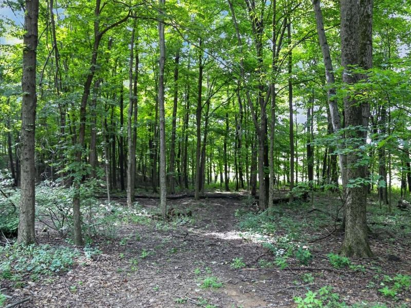 17338 Fredericktown Amity Road , Fredericktown, OH 43019 Photo 50