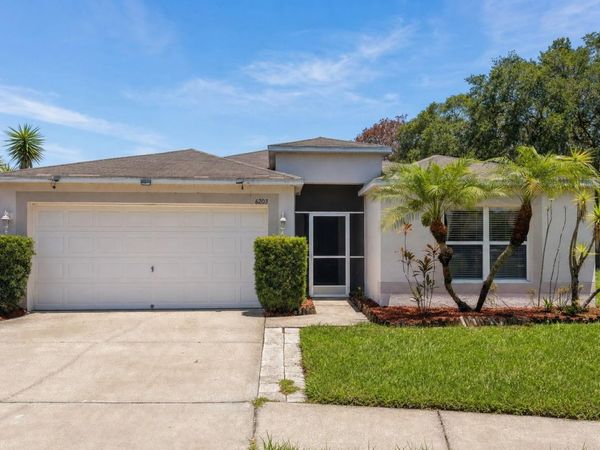 6203 VENEZIA PLACE , RIVERVIEW, FL 33578