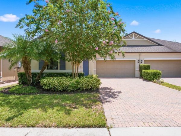16936 BALANCE COVE , LAND O LAKES, FL 34638