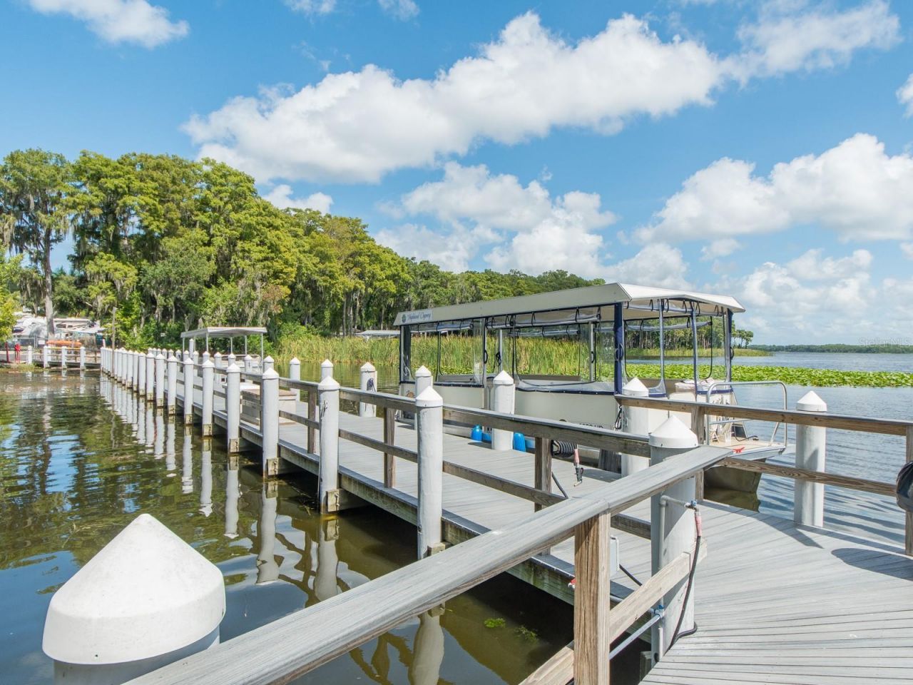 3253 Mcmath Drive, Palm Harbor, FL 34684 Photo