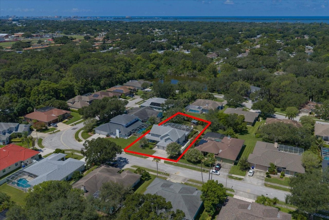 1924 Dunloe Circle, Dunedin, FL 34698 Photo