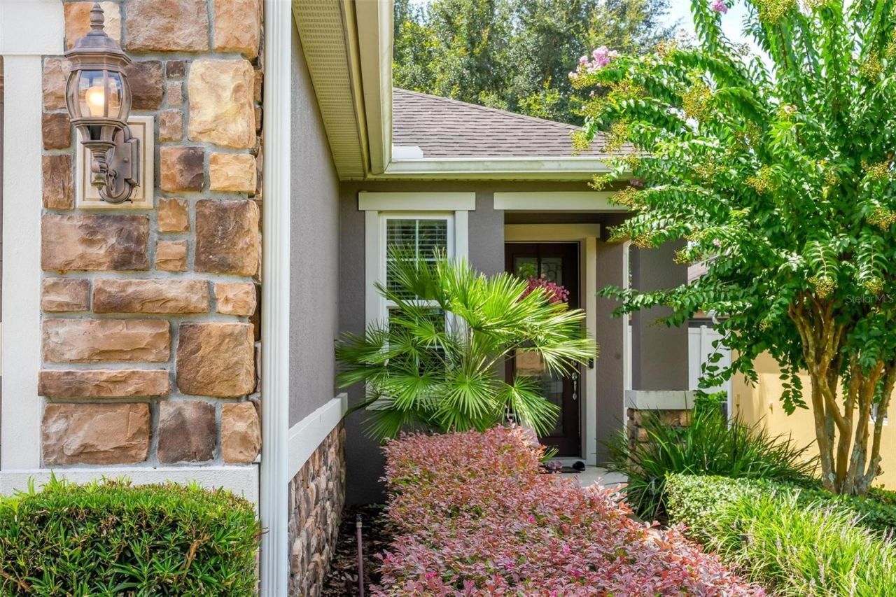 30539 Lipizzan Terrace , Mount Dora, FL 32757 Photo