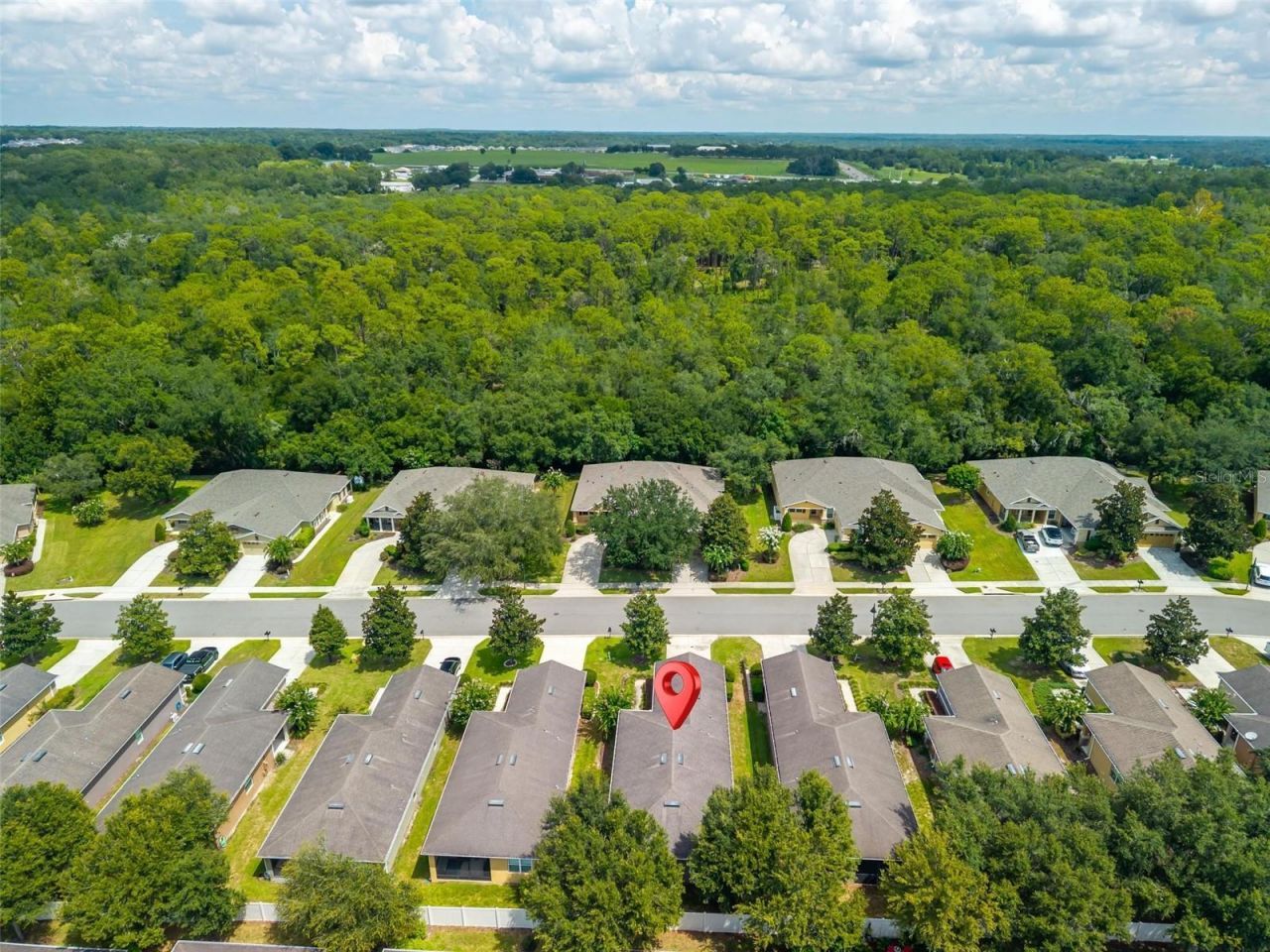 30539 Lipizzan Terrace , Mount Dora, FL 32757 Photo