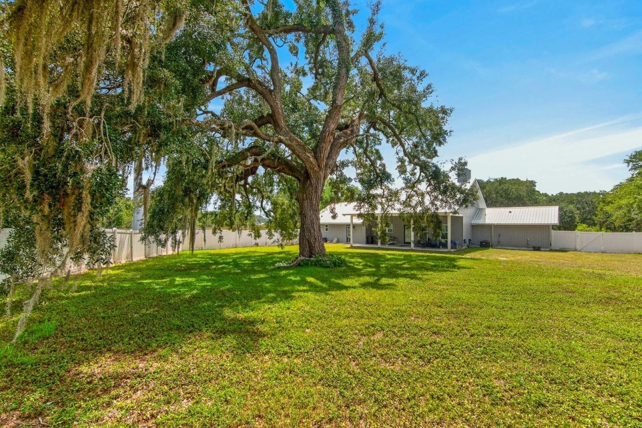 10704 Tami Trail, Hudson, FL 34669 Photo