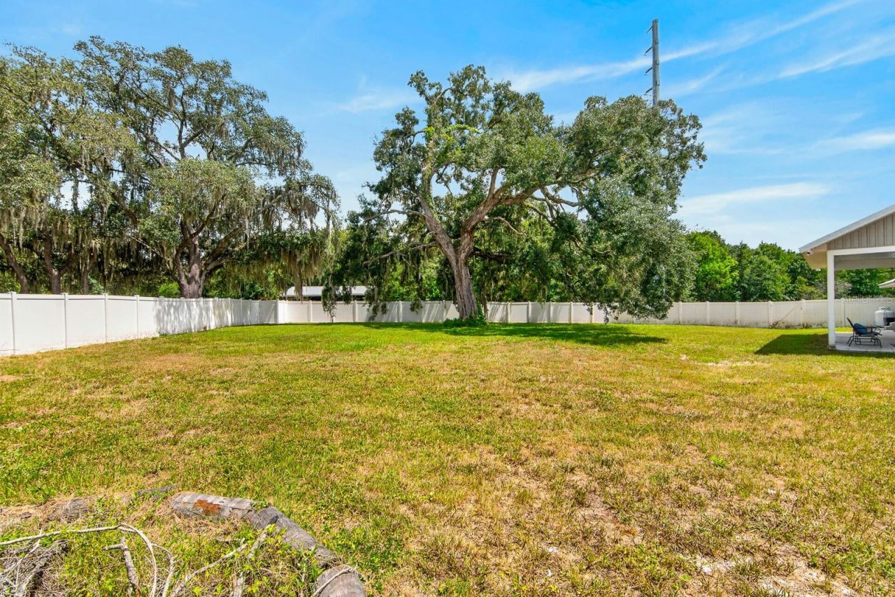 10704 Tami Trail, Hudson, FL 34669 Photo