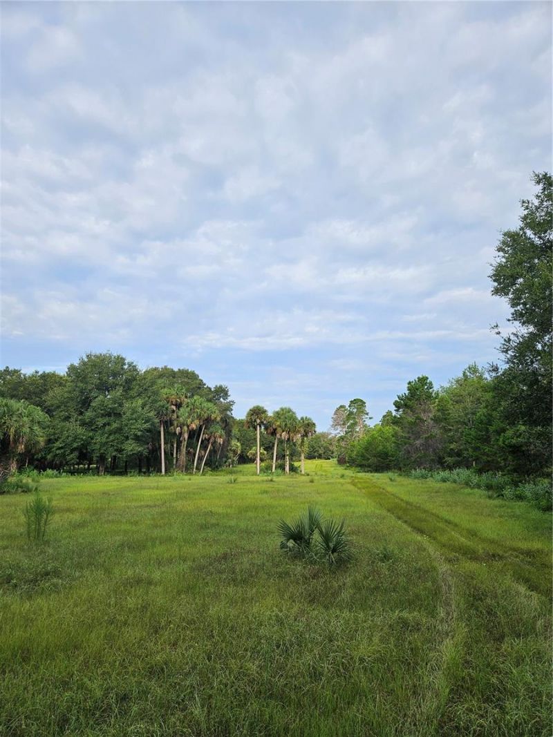 Snow Hill Rd Road , Geneva, FL 32732 Photo