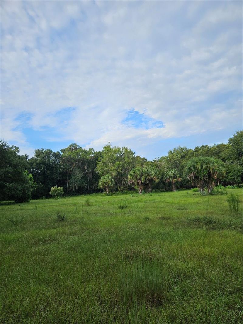 Snow Hill Rd Road , Geneva, FL 32732 Photo
