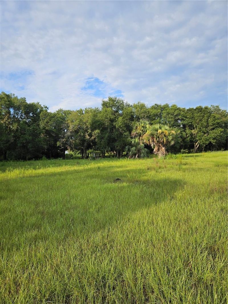 Snow Hill Rd Road , Geneva, FL 32732 Photo