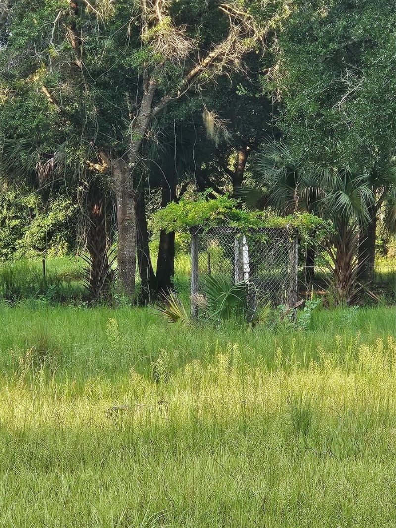 Snow Hill Rd Road , Geneva, FL 32732 Photo