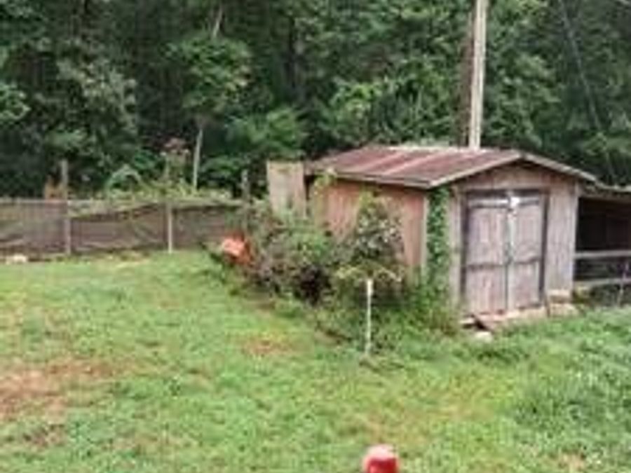 Property Image 15