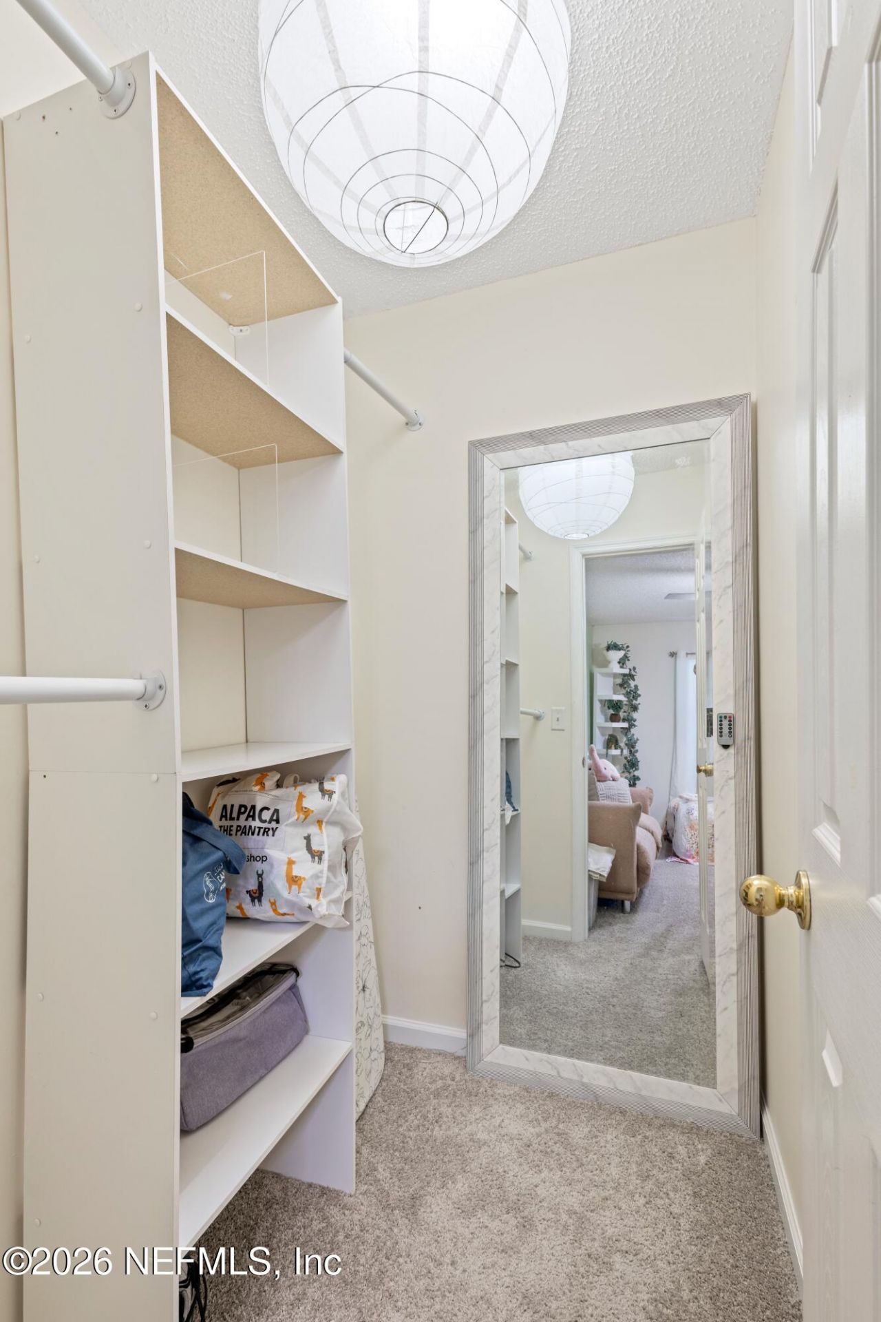 480 Sherwood Oaks Drive, Orange Park, FL 32073 Photo