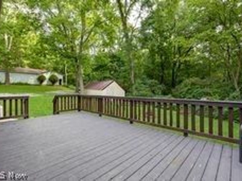 4963 Lattasburg Road, Wooster, OH 44691 Photo 13