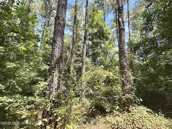 5 County Road 24 , Enterprise, MS 39330
