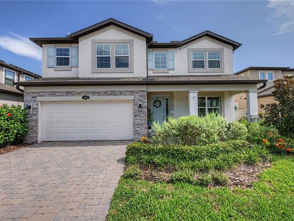 19308 BREYNIA DRIVE , LUTZ, FL 33558