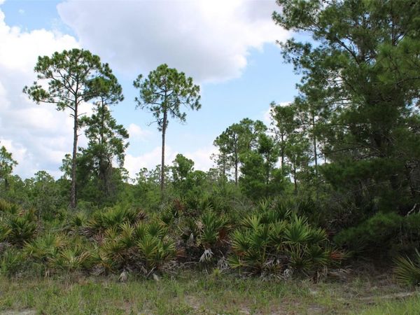 1830 OLEASTER AVENUE , SEBRING, FL 33875