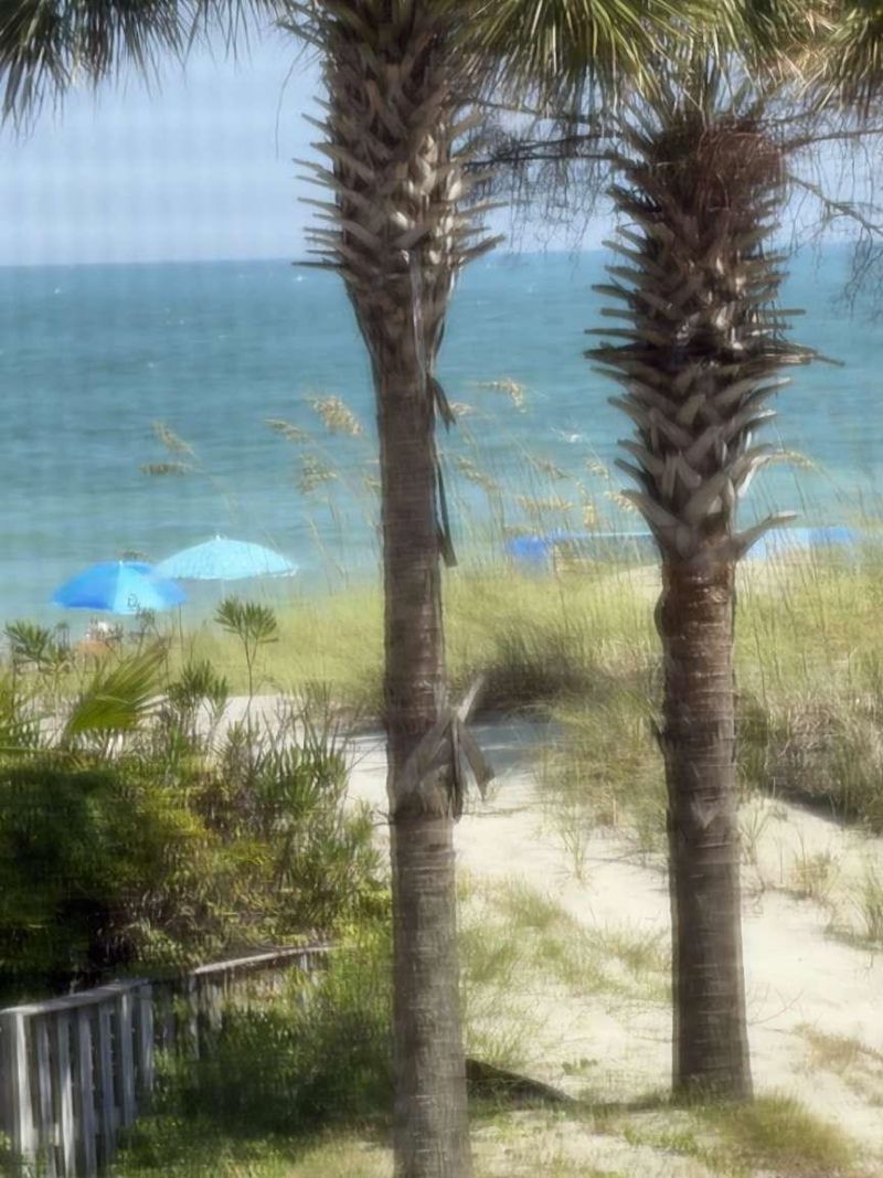 9570 Shore Dr. Photo 33