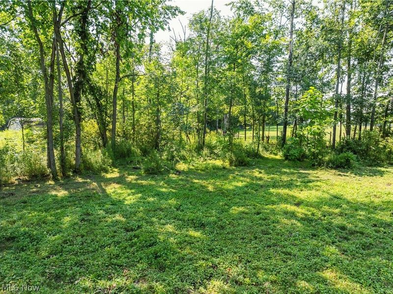 17881 Huntley Rd, Windsor, OH 44099 Photo 16