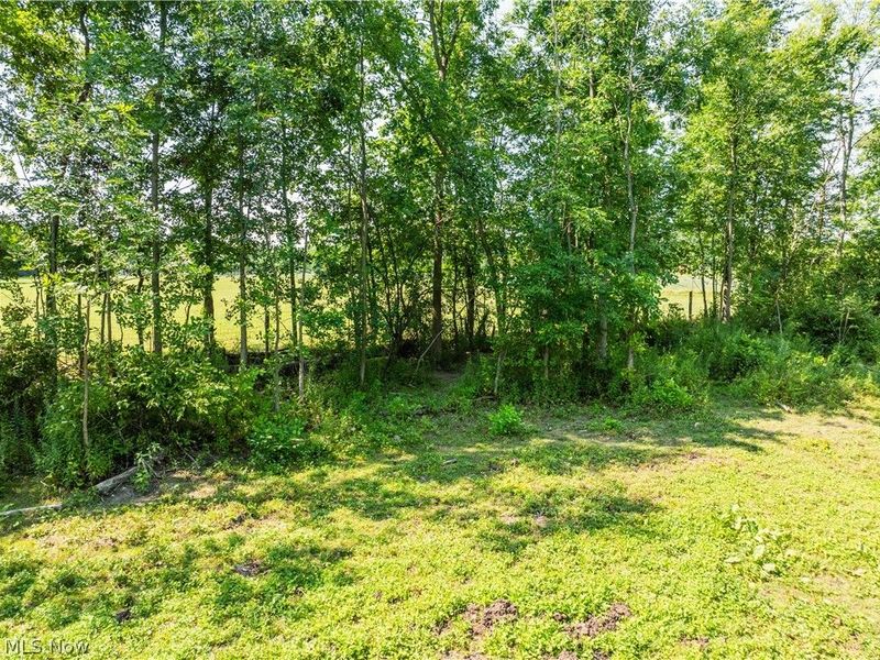 17881 Huntley Rd, Windsor, OH 44099 Photo 18