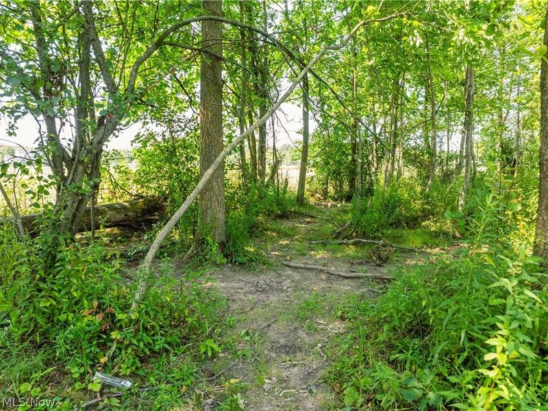 17881 Huntley Rd, Windsor, OH 44099 Photo 19