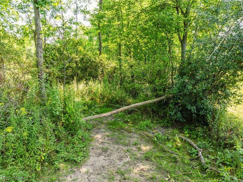 17881 Huntley Rd, Windsor, OH 44099 Photo 25
