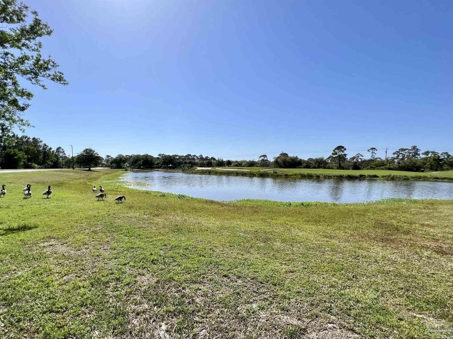 Property Image 71