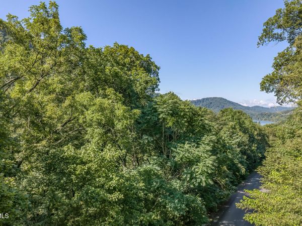 Lot 4 Walnut Bend Drive, Whitesburg, TN 37891