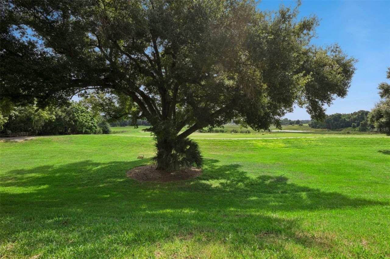 2230 Caledonian Street , Clermont, FL 34711 Photo