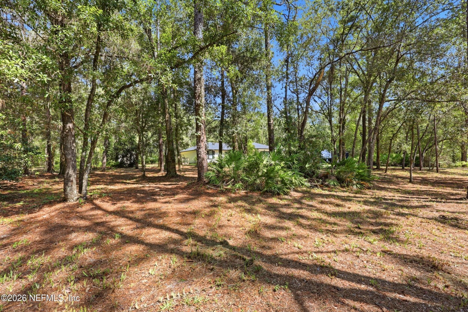 2694 Poinsettia Avenue, Middleburg, FL 32068 Photo