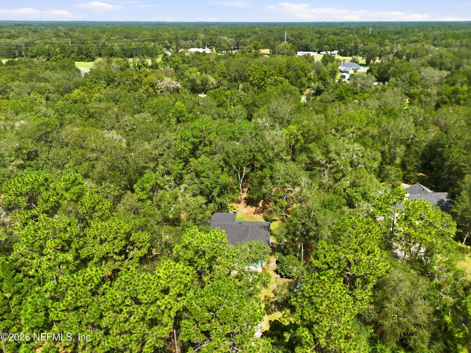 2694 Poinsettia Avenue, Middleburg, FL 32068 Photo