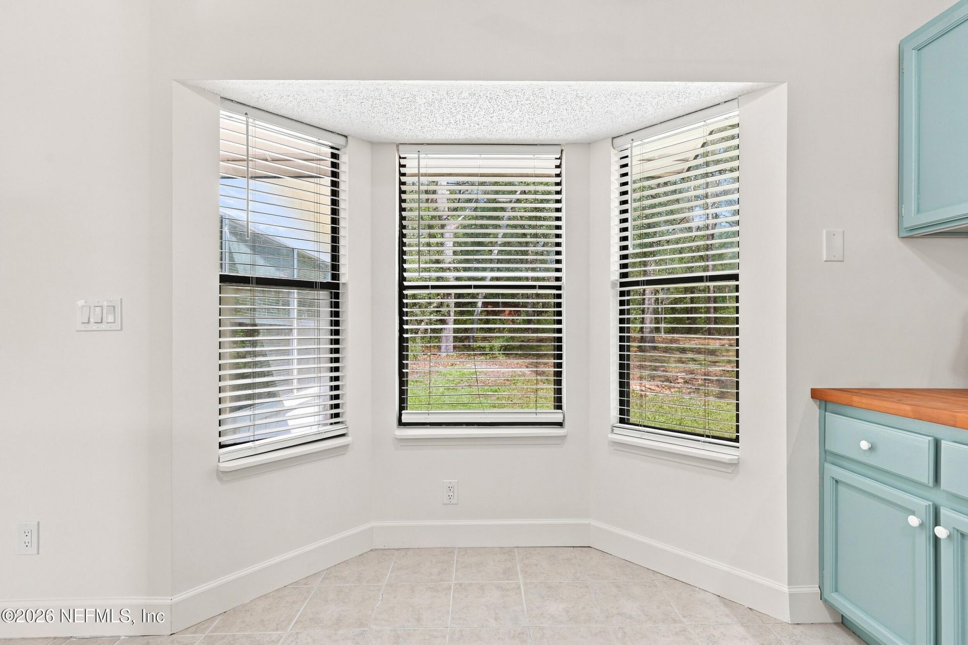 2694 Poinsettia Avenue, Middleburg, FL 32068 Photo