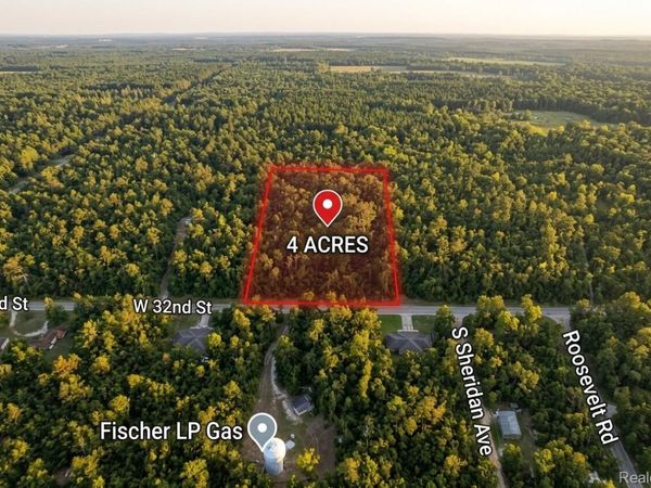 V/L 32nd St, Webber Township, Mi 49304