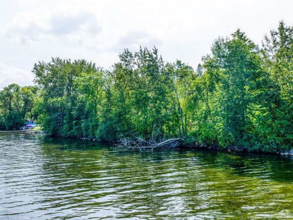 TBD Birchmont Drive NE, Bemidji, MN 56601