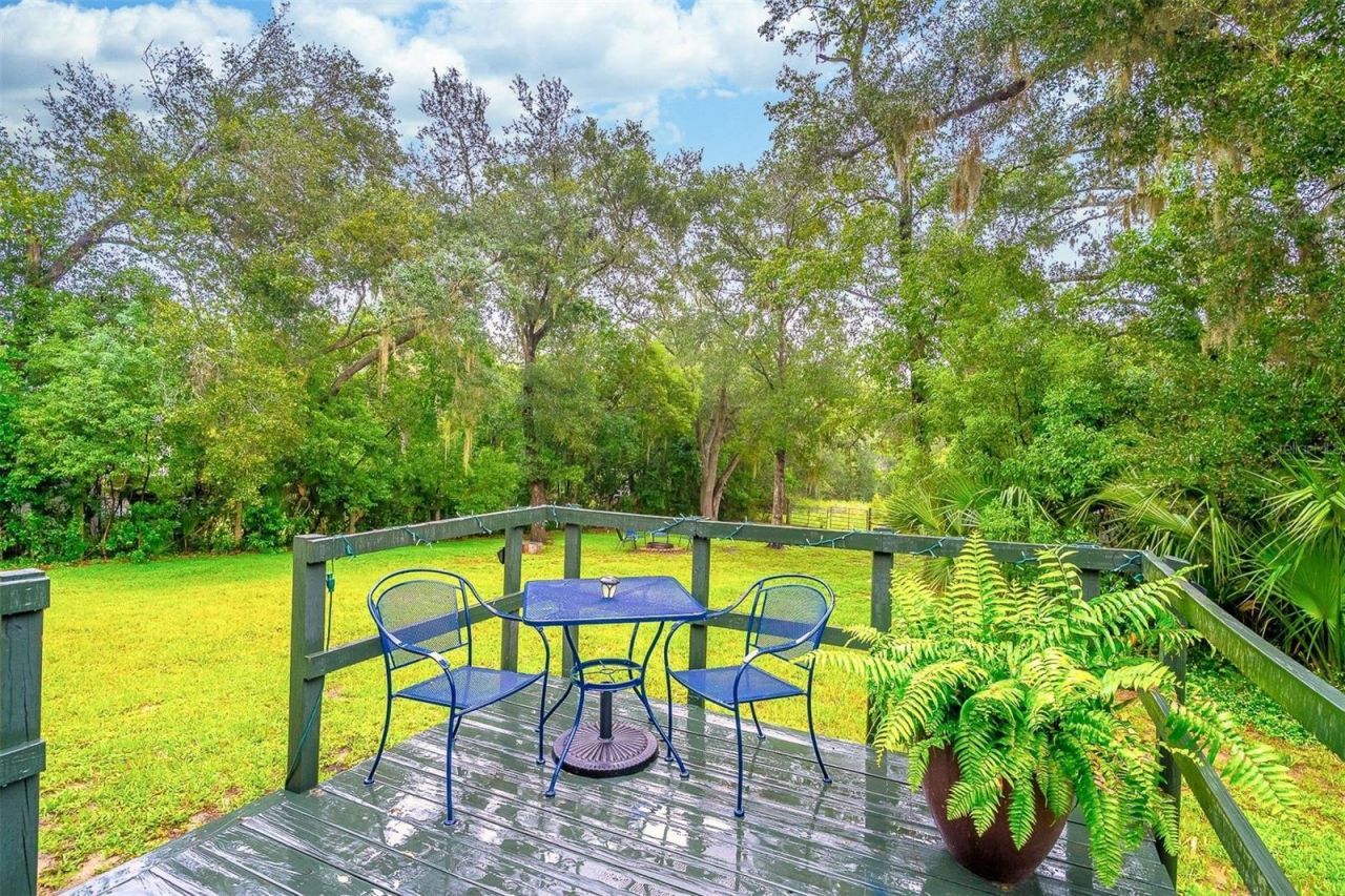 31050 Lochmore Circle , Mount Plymouth, FL 32776 Photo